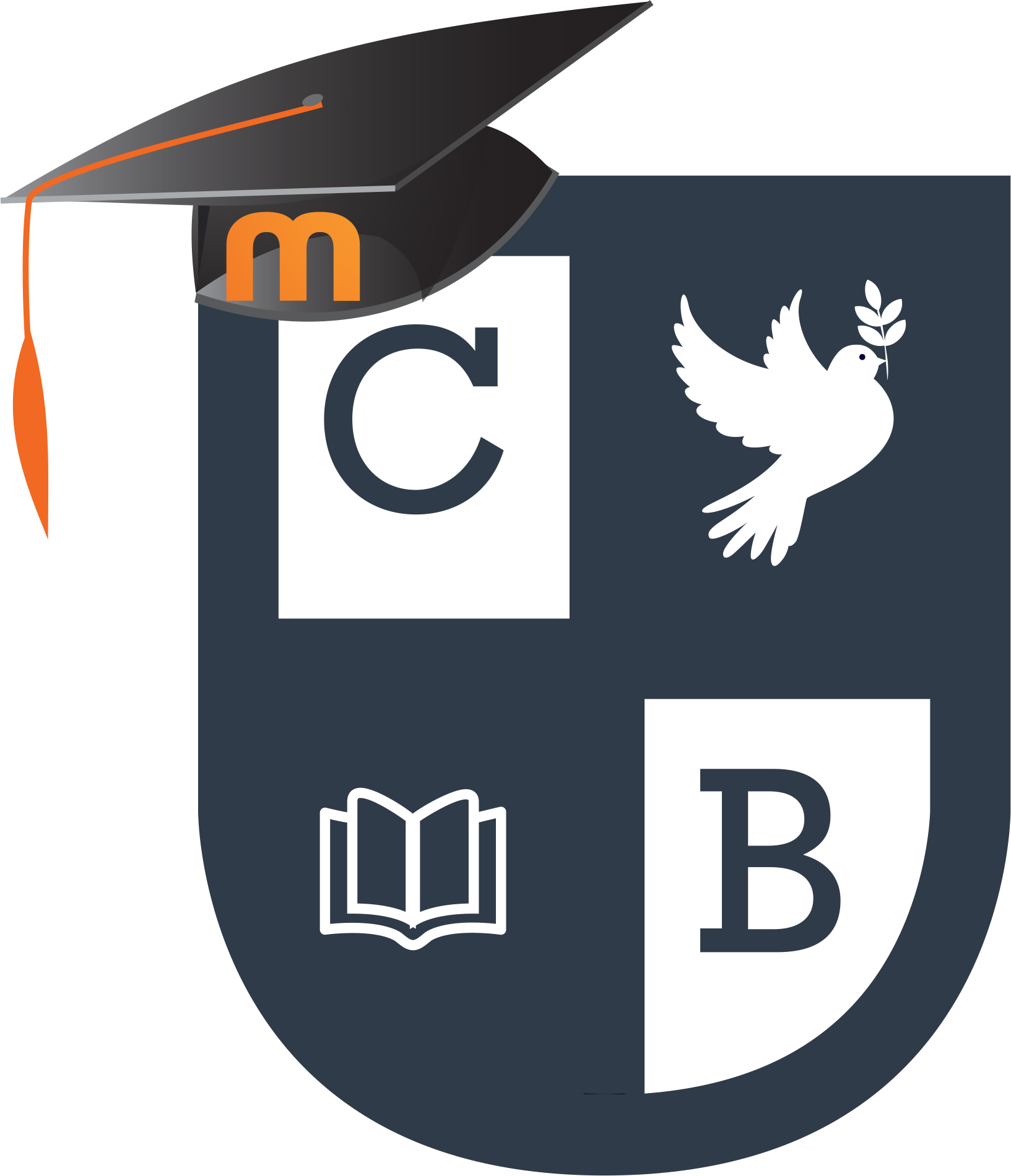 Plataforma del Colegio